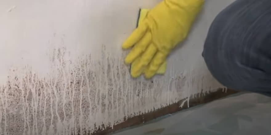 how-to-get-rid-of-mold-on-concrete-block-walls