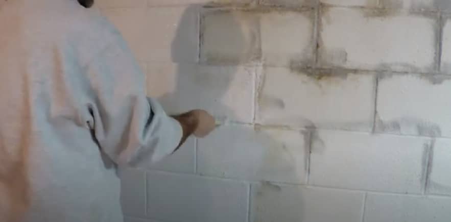 how-to-get-rid-of-mold-on-concrete-block-walls