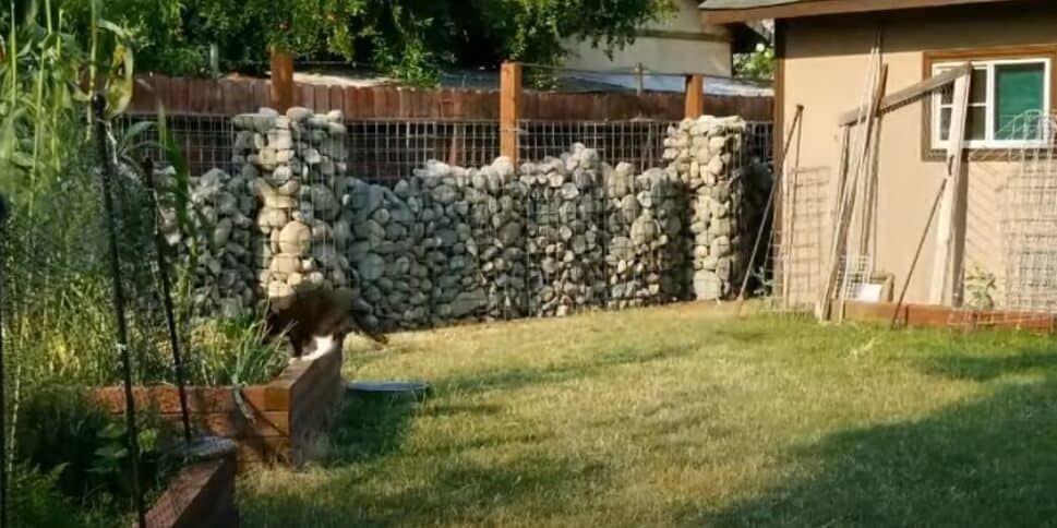 are-gabion-walls-sustainable